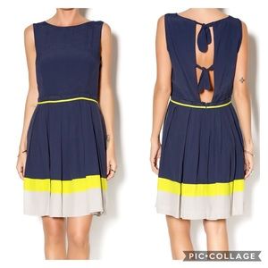 Esley Navy Dress